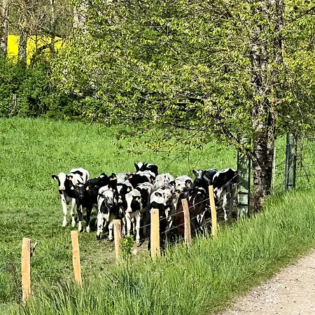 Place De La Gare Cy *