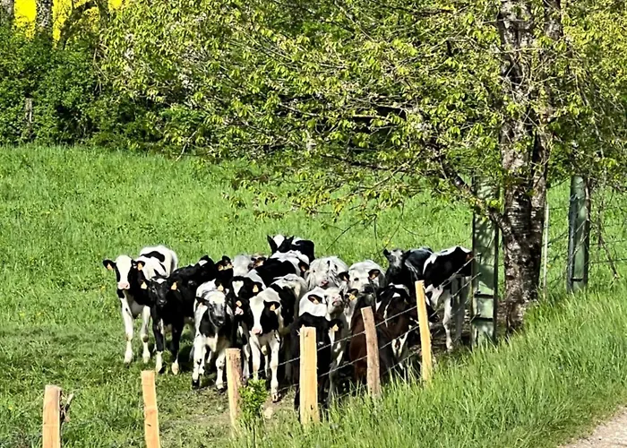 Place De La Gare Cy *